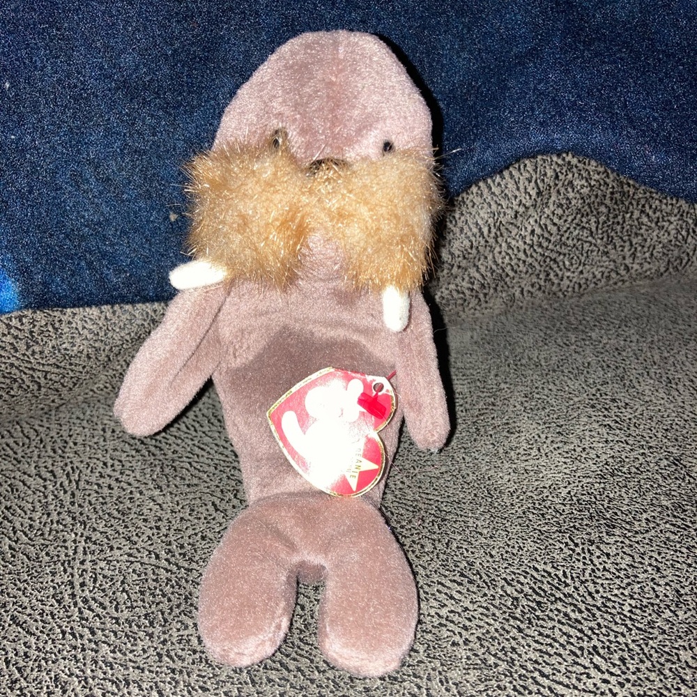 Jolly the Walrus
